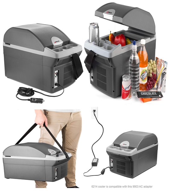 electric car cooler and warmer